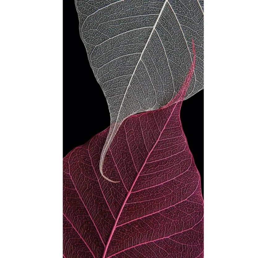 vidro impresso black 02